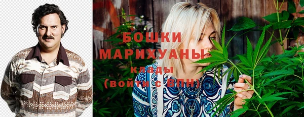 apvp Горнозаводск