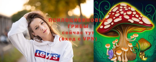spice Горняк